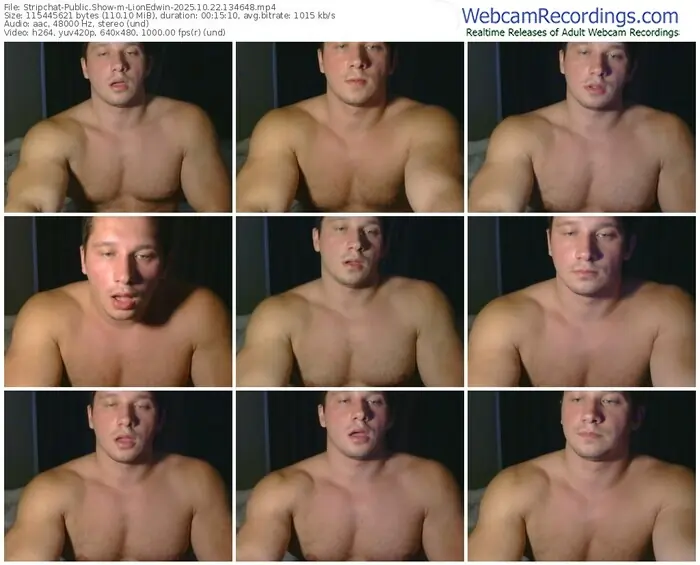 2025/10/22/stripchat-lionedwin-13-46-48