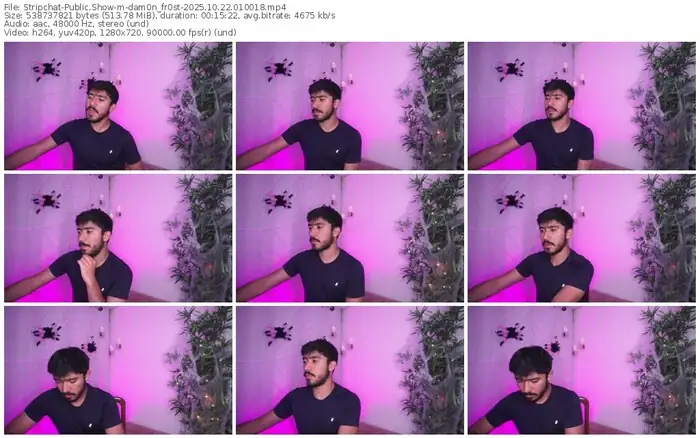 2025/10/22/stripchat-dam0n_fr0st-01-00-18