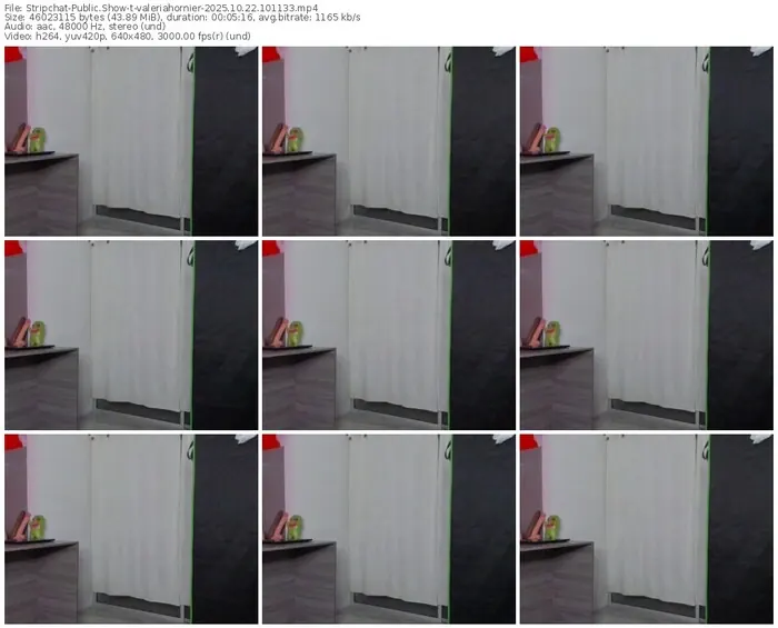2025/10/22/stripchat-valeriahornier-10-11-33