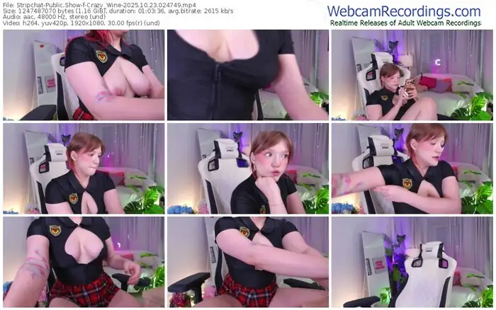 2025/10/23/stripchat-crazy_wine-02-47-49