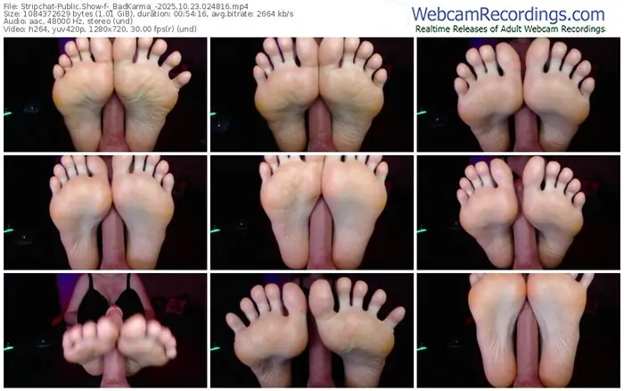 2025/10/23/stripchat-_badkarma_-02-48-16