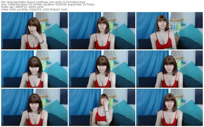 2025/10/23/stripchat-cornflower_mm-02-35-16