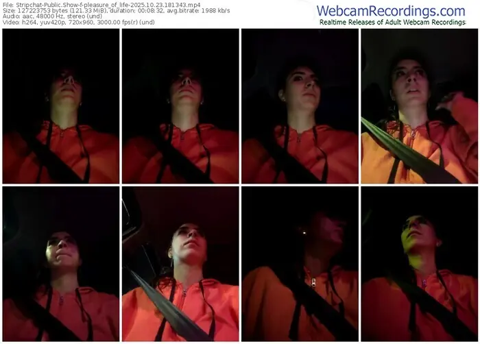 2025/10/23/stripchat-pleasure_of_life-18-13-43