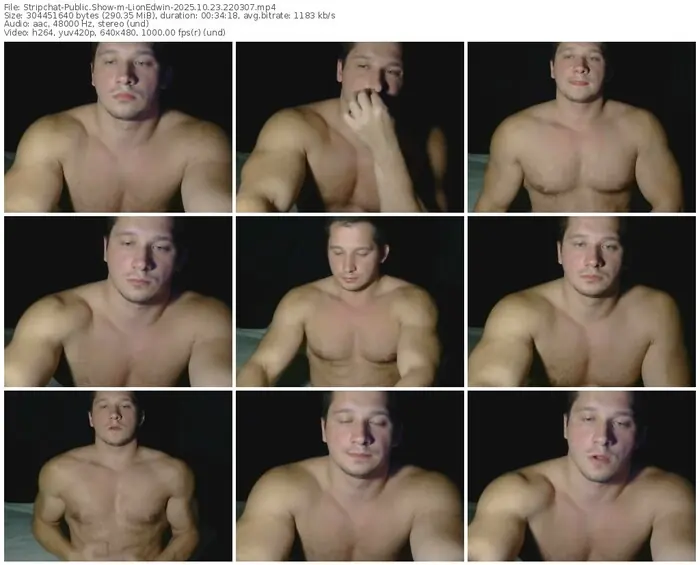 2025/10/23/stripchat-lionedwin-22-03-07