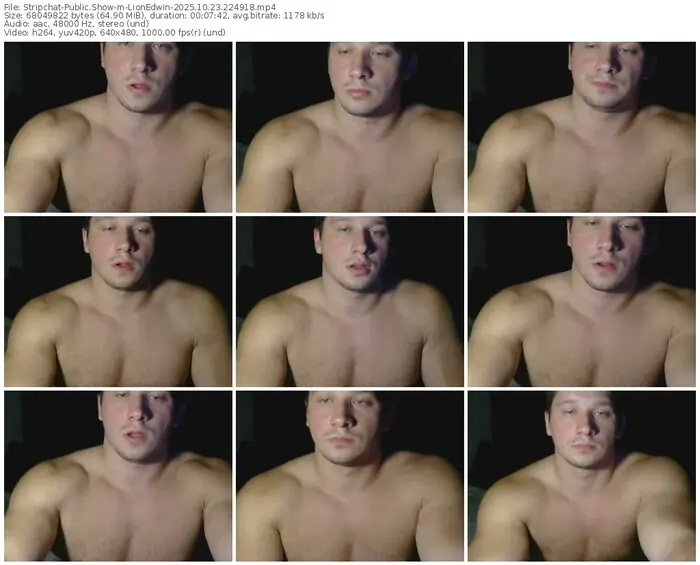 2025/10/23/stripchat-lionedwin-22-49-18