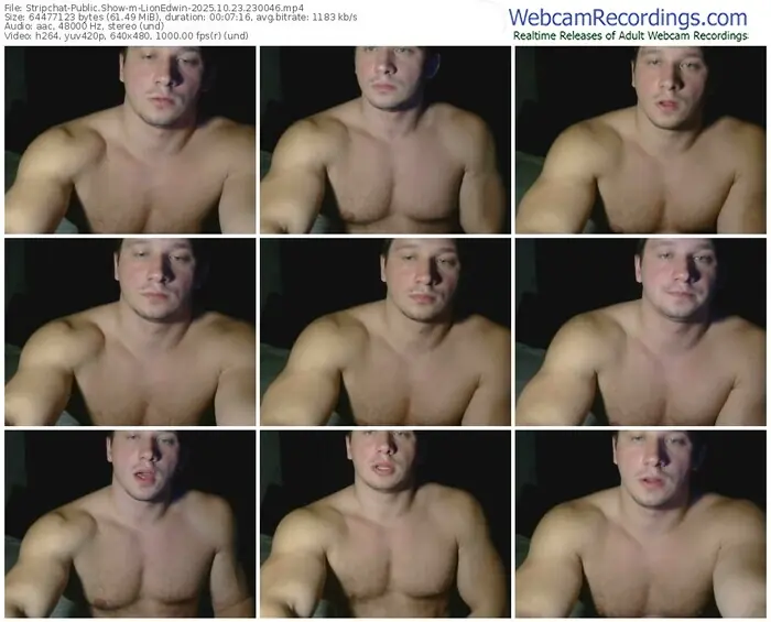 2025/10/23/stripchat-lionedwin-23-00-46