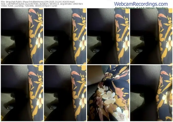 2025/10/24/stripchat-hiddenhoneyldn-14-16-33