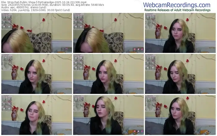 2025/10/24/stripchat-portiahedge-21-13-06