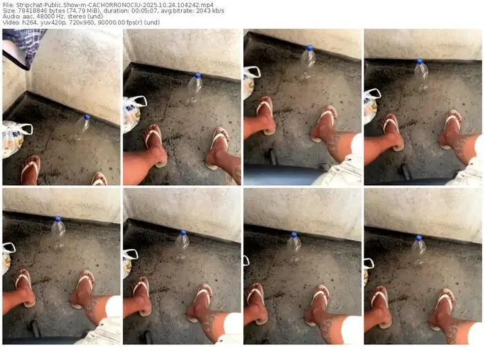 2025/10/24/stripchat-cachorronociu-10-42-42