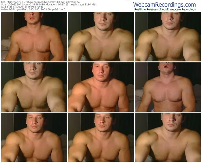 2025/10/24/stripchat-lionedwin-12-07-26