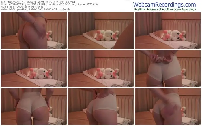 2025/10/25/stripchat-liagotti-23-53-49