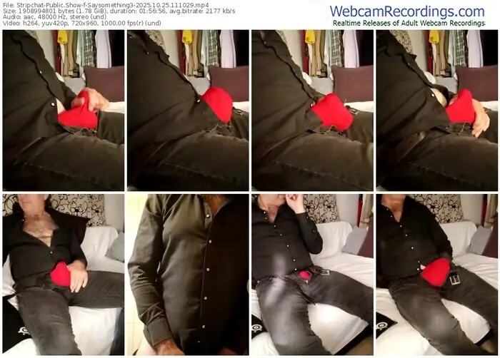 2025/10/25/stripchat-saysomething3-11-10-29