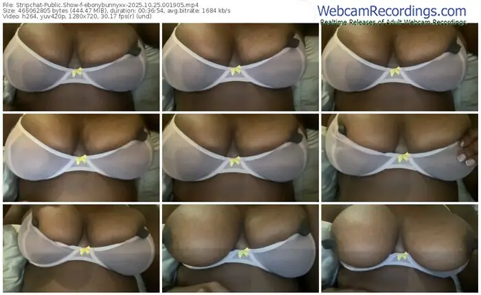 2025/10/25/stripchat-ebonybunnyxx-00-19-05