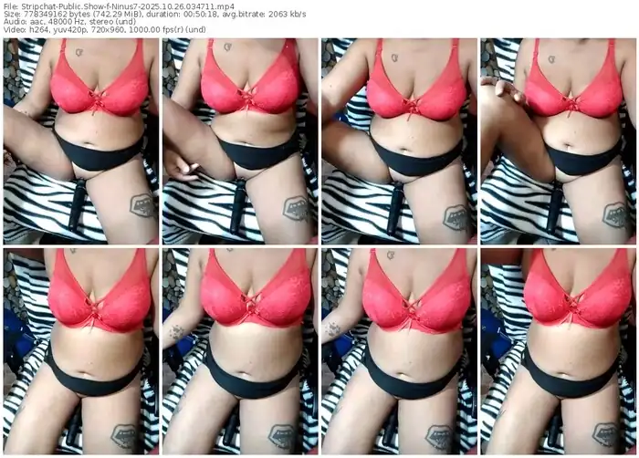 2025/10/26/stripchat-ninus7-03-47-11