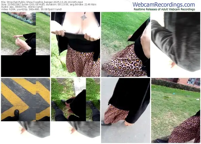 2025/10/26/stripchat-sophie_banger-16-16-45