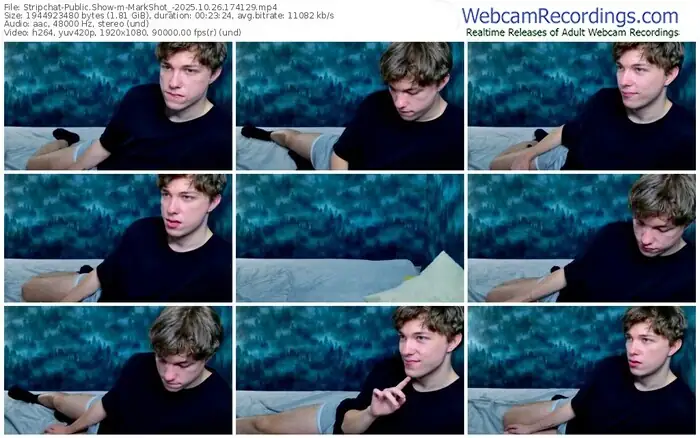 2025/10/26/stripchat-markshot_-17-41-29