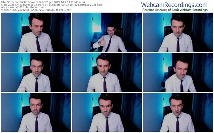 2025/10/26/stripchat-stevetiger-13-35-46