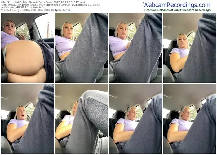 2025/10/27/stripchat-merlindave-06-13-47