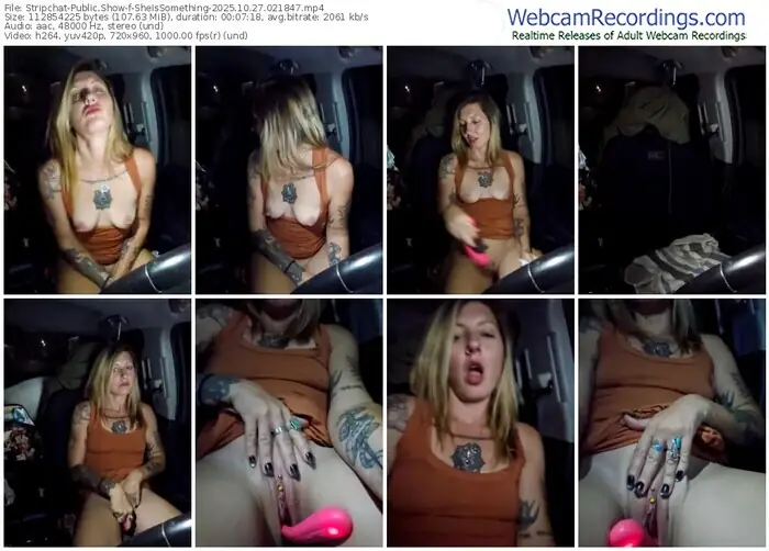 2025/10/27/stripchat-sheissomething-02-18-47