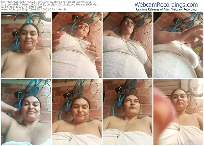 2025/10/28/stripchat-horny-mommy-dirty-16-07-12