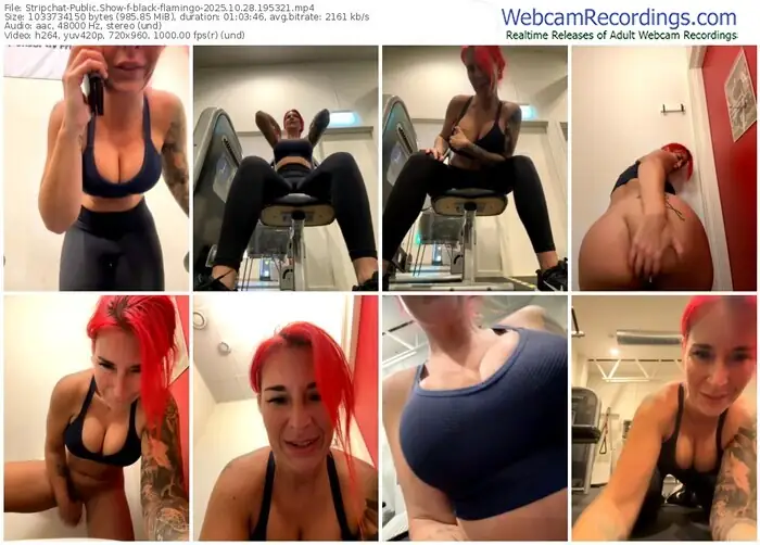 2025/10/28/stripchat-black-flamingo-19-53-21