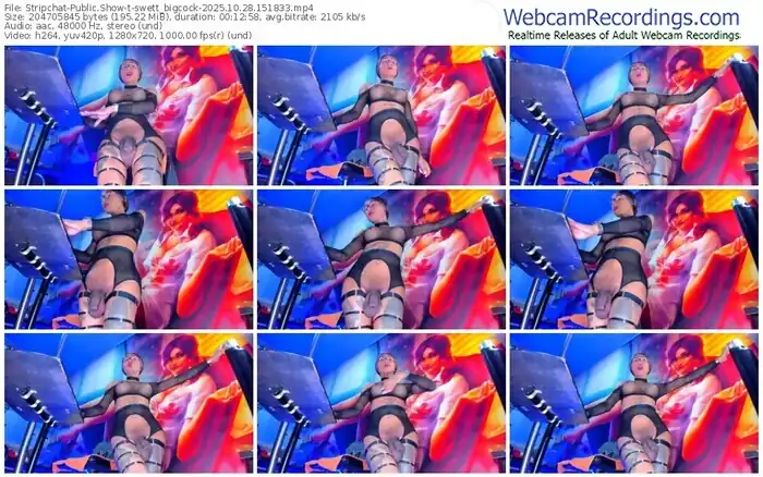2025/10/28/stripchat-swett_bigcock-15-18-33