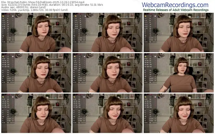 2025/10/29/stripchat-echobloom-12-30-54