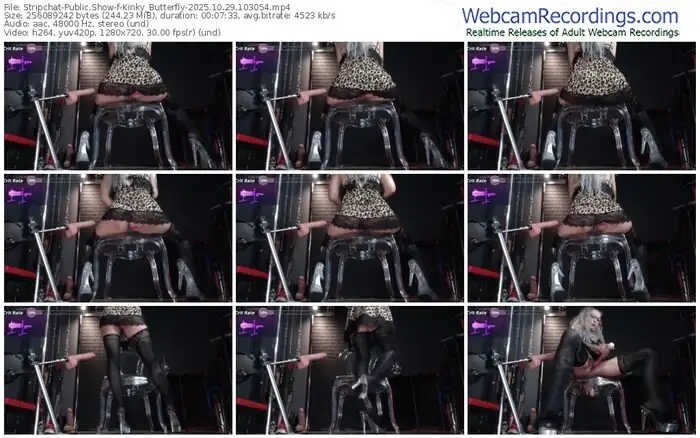 2025/10/29/stripchat-kinky_butterfly-10-30-54