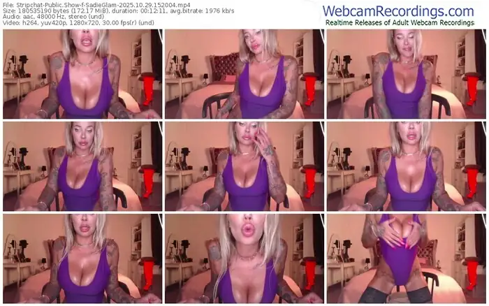 2025/10/29/stripchat-sadieglam-15-20-04