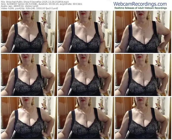 2025/10/29/stripchat-secretfox-15-29-54