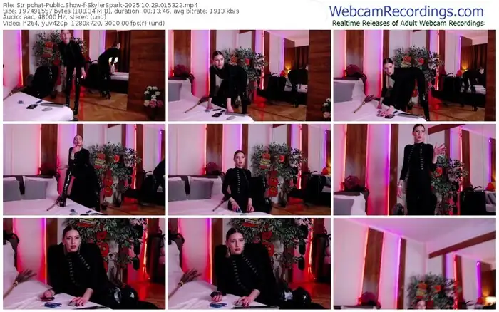 2025/10/29/stripchat-skylerspark-01-53-22