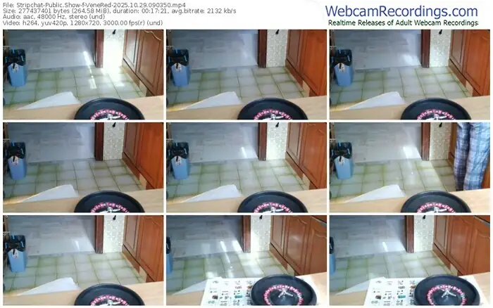 2025/10/29/stripchat-venered-09-03-50