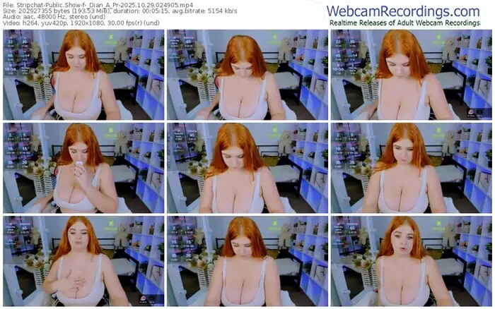 2025/10/29/stripchat-_dian_a_pr-02-49-05