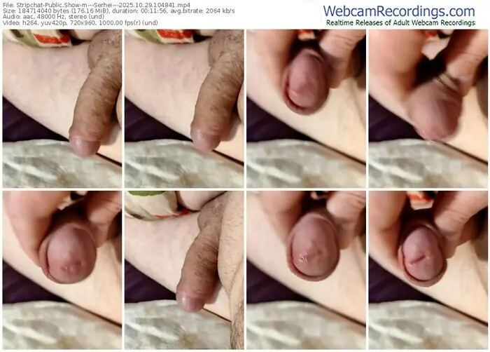 2025/10/29/stripchat---serhei---10-48-41