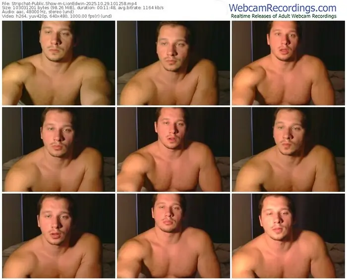 2025/10/29/stripchat-lionedwin-10-12-58