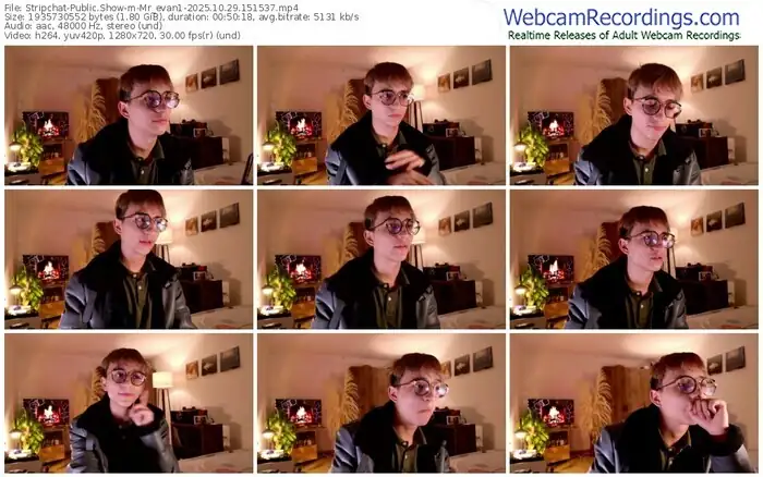 2025/10/29/stripchat-mr_evan1-15-15-37