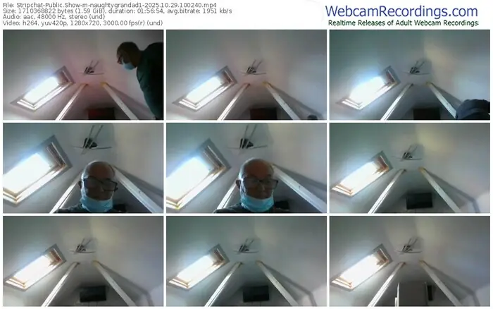 2025/10/29/stripchat-naughtygrandad1-10-02-40