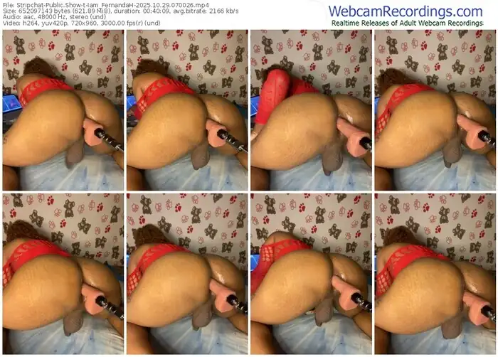 2025/10/29/stripchat-iam_fernandah-07-00-26