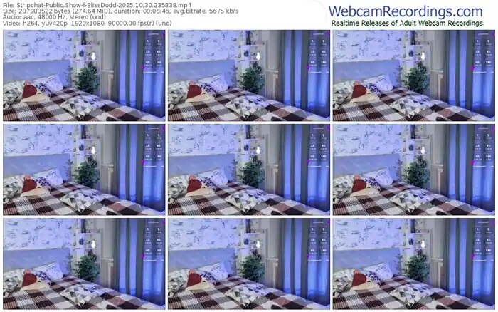 2025/10/30/stripchat-blissdodd-23-58-38