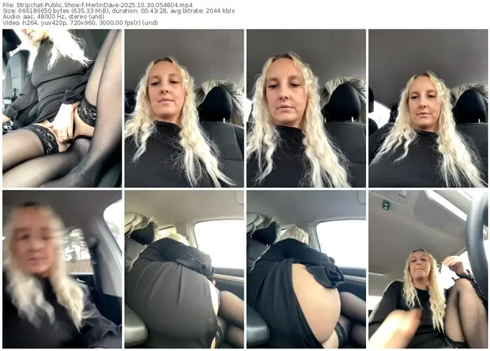 2025/10/30/stripchat-merlindave-05-48-04