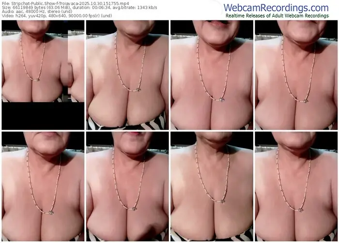 2025/10/30/stripchat-troiavaca-15-17-55