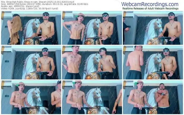 2025/10/30/stripchat-iam_steven-14-20-33