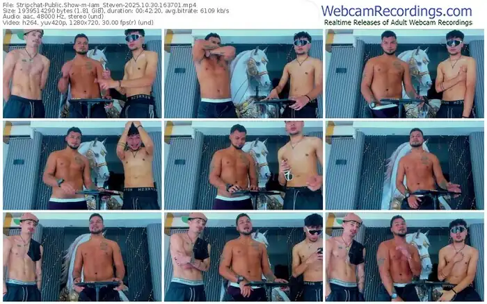 2025/10/30/stripchat-iam_steven-16-37-01