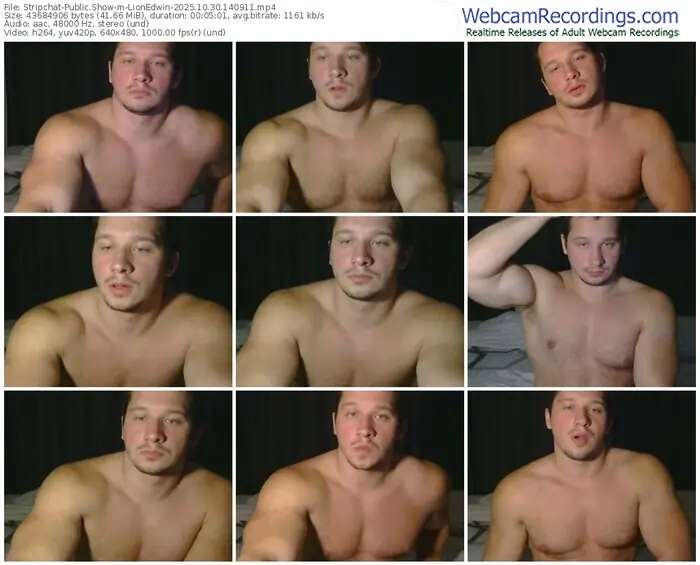 2025/10/30/stripchat-lionedwin-14-09-11