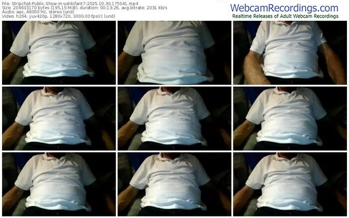 2025/10/30/stripchat-velikifant7-17-50-41