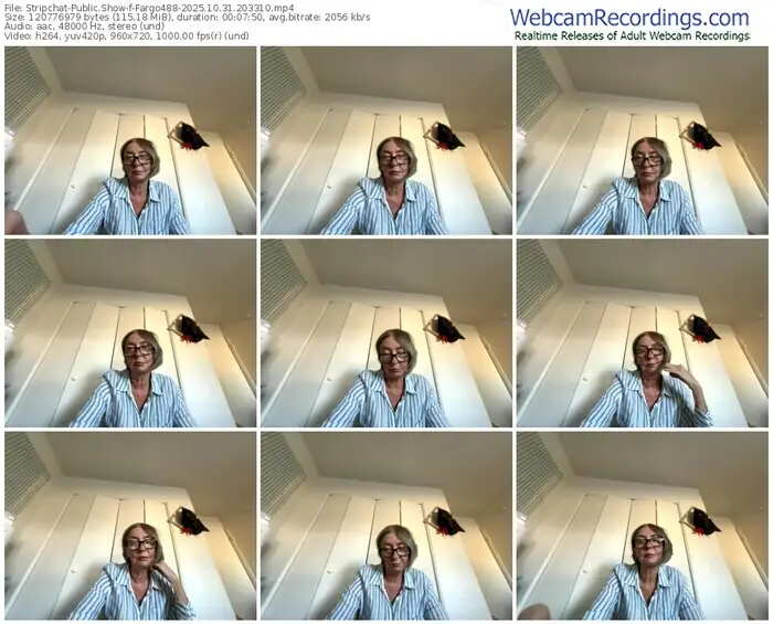 2025/10/31/stripchat-fargo488-20-33-10