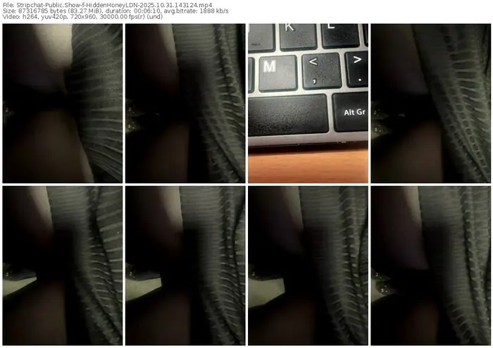 2025/10/31/stripchat-hiddenhoneyldn-14-31-24