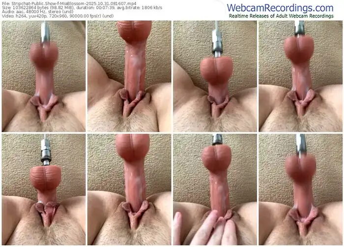 2025/10/31/stripchat-miablossom-08-16-07