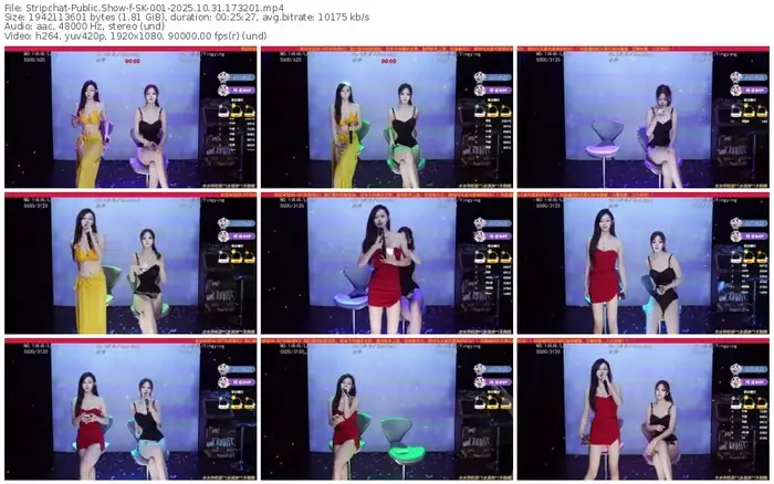 2025/10/31/stripchat-sk-001-17-32-01