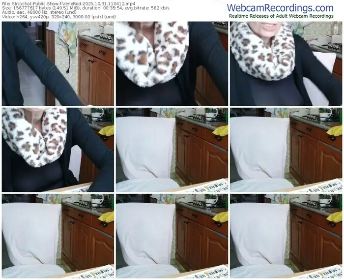 2025/10/31/stripchat-venered-11-04-12